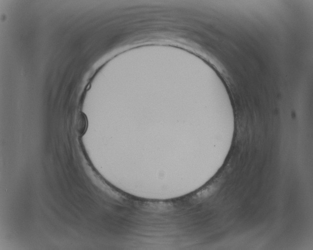 X0000081291526200702012231