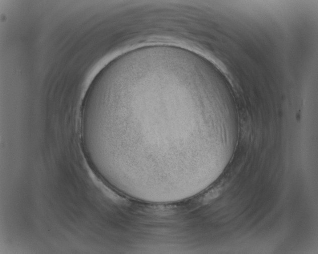 X0000081291527200702012231