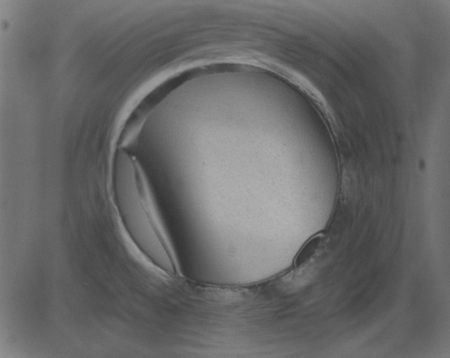 X0000081291528200702012231