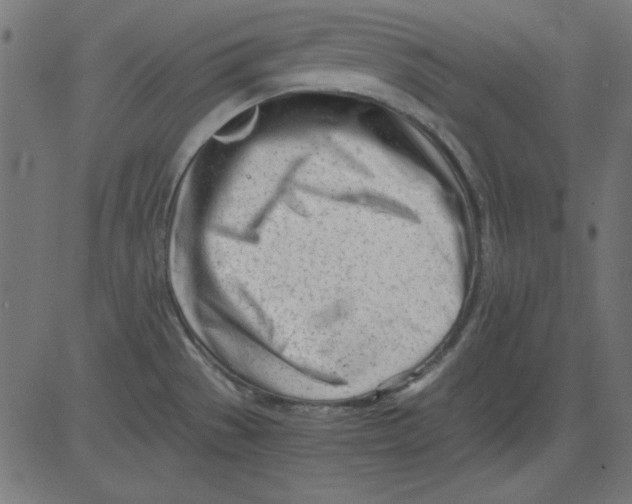 X0000081291529200702012231