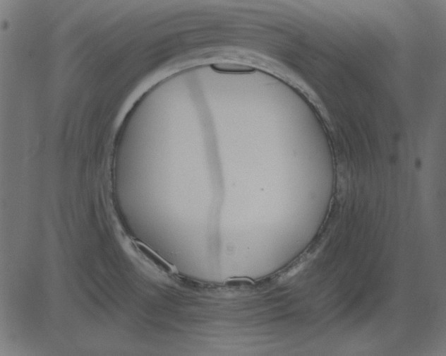 X0000081291530200702012231