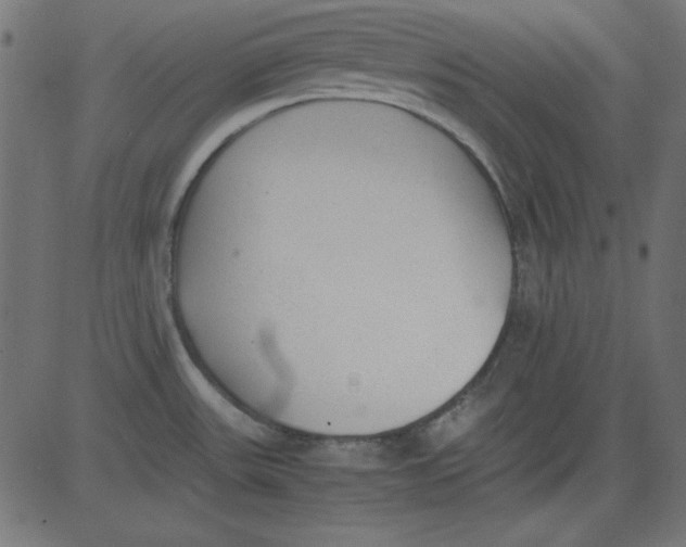 X0000081291531200702012231