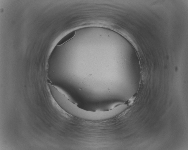 X0000081291532200702012231