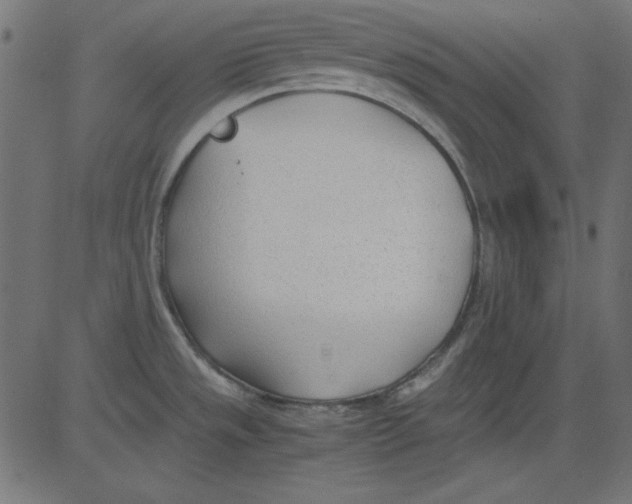 X0000081291533200702012231