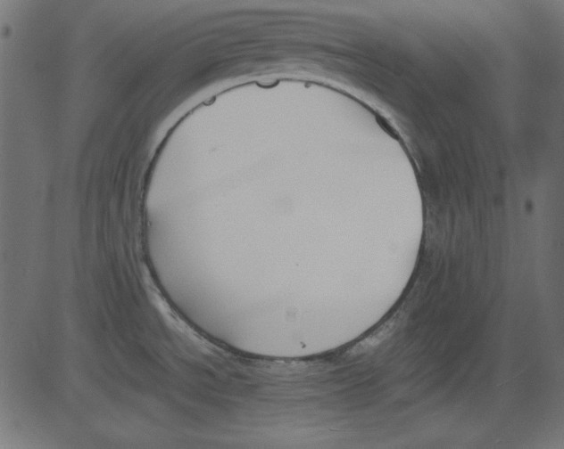 X0000081291534200702012231