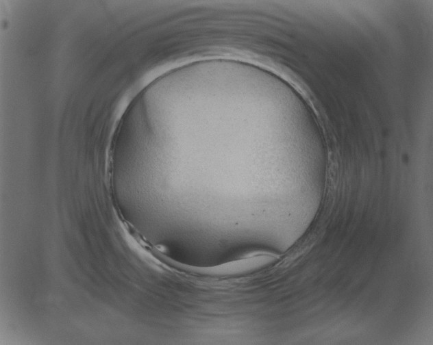 X0000081291535200702012231