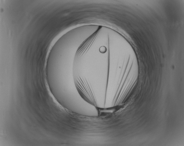 X0000081291536200702012231