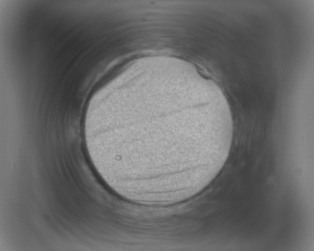 X0000081290002200702082030