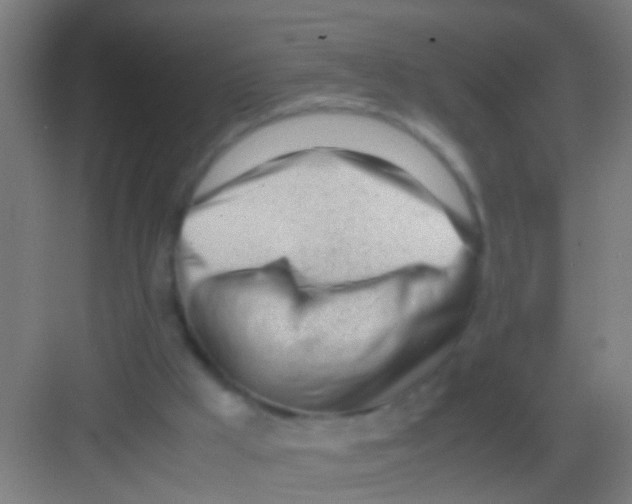X0000081290009200702082030