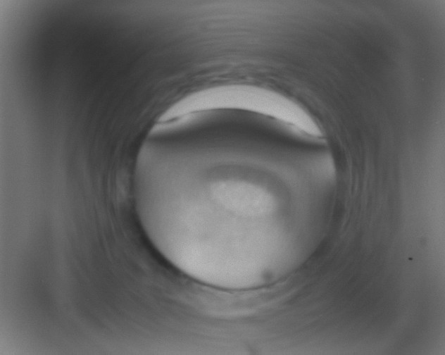 X0000081290035200702082030
