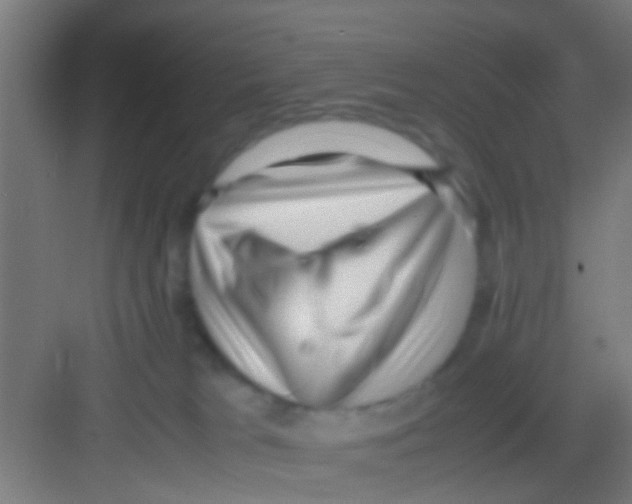 X0000081290037200702082030