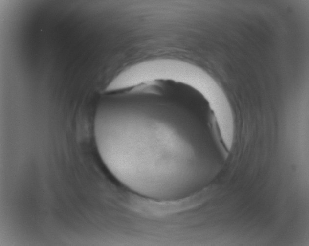 X0000081290039200702082030