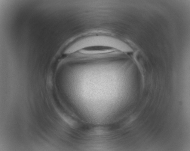 X0000081290064200702082029