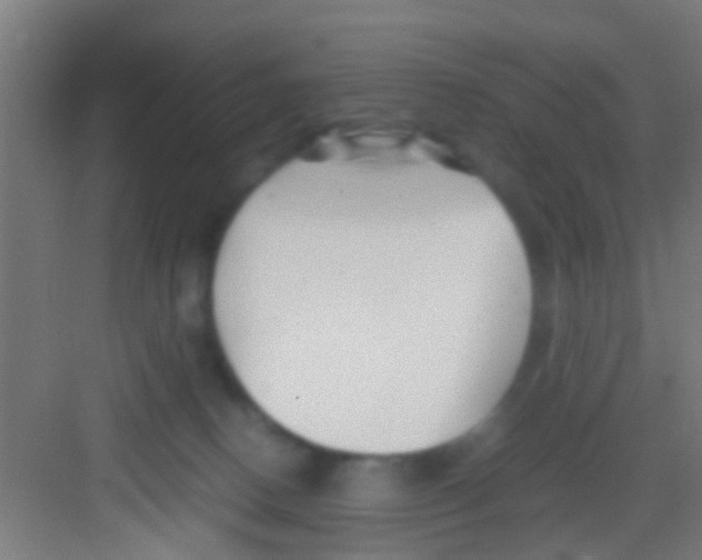 X0000081290082200702082029