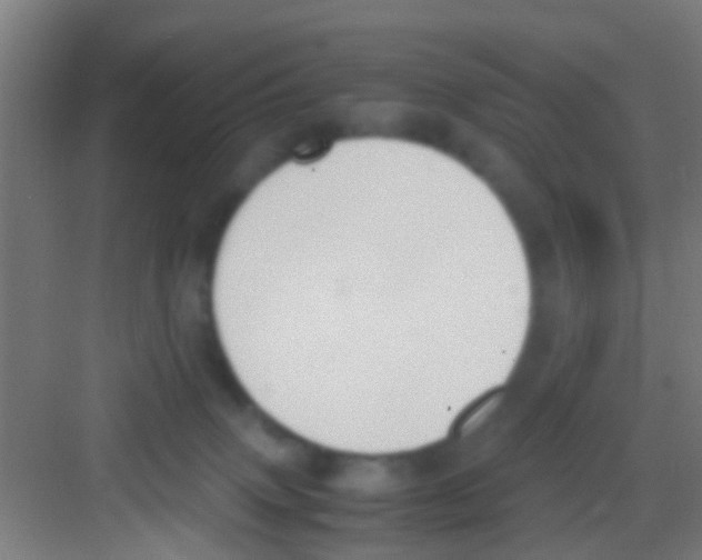 X0000081290083200702082029