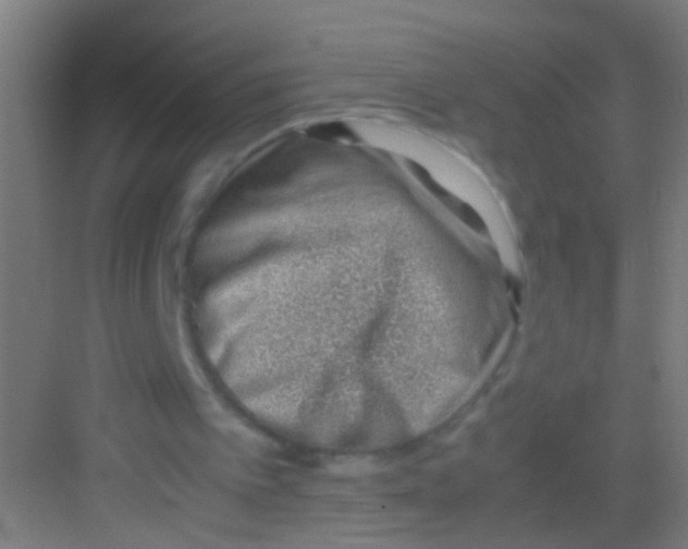 X0000081290097200702082029
