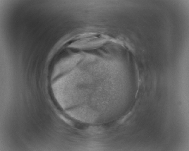 X0000081290101200702082029