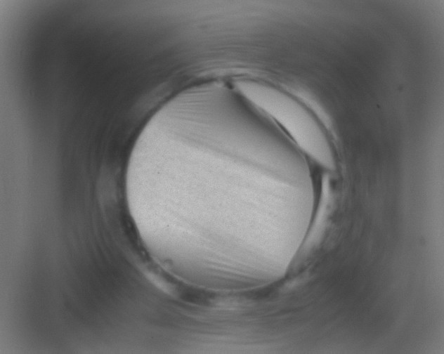 X0000081290105200702082029