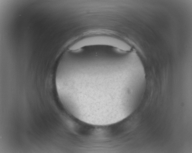 X0000081290111200702082029