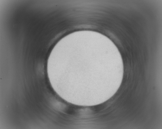 X0000081290112200702082029
