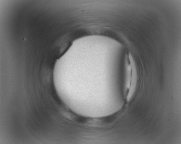 X0000081290125200702082028