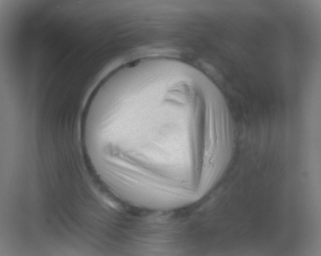 X0000081290148200702082027