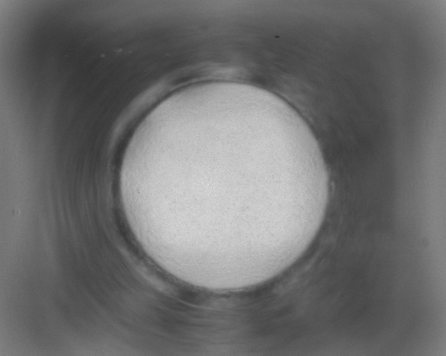 X0000081290149200702082027