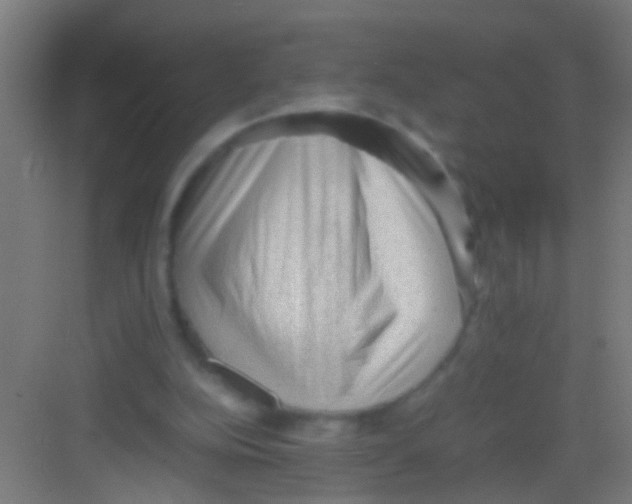 X0000081290152200702082027