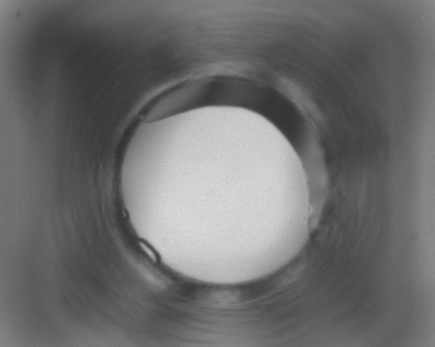 X0000081290156200702082027
