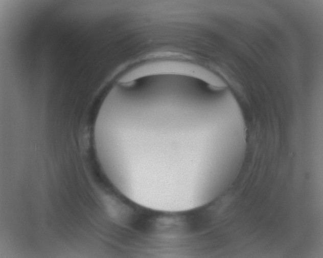 X0000081290160200702082028