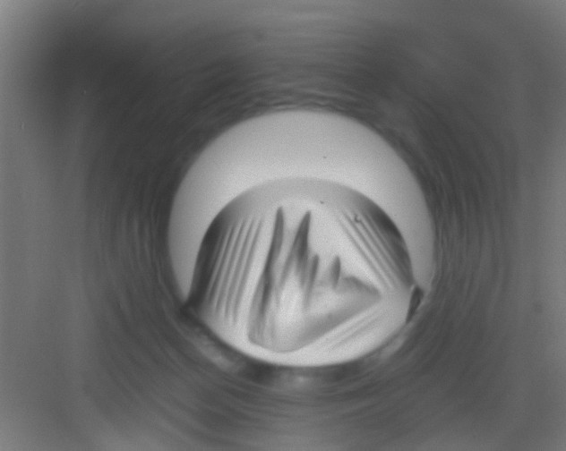 X0000081290174200702082028