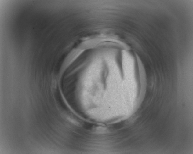X0000081290180200702082028