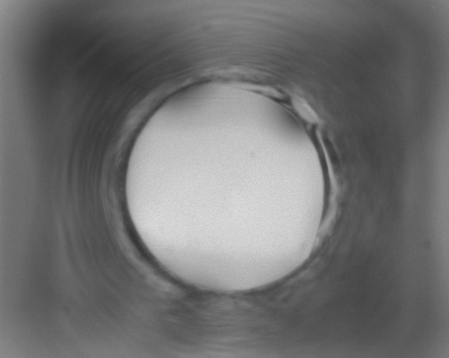 X0000081290193200702082027
