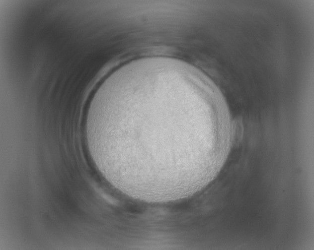 X0000081290195200702082027