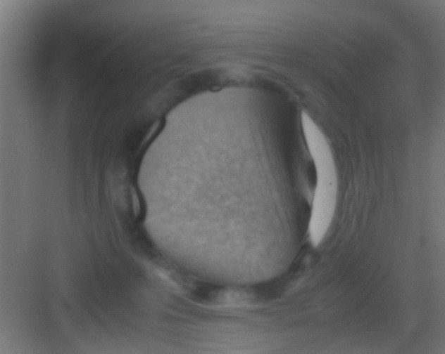 X0000081290223200702082027