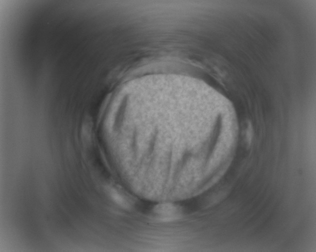 X0000081290231200702082027