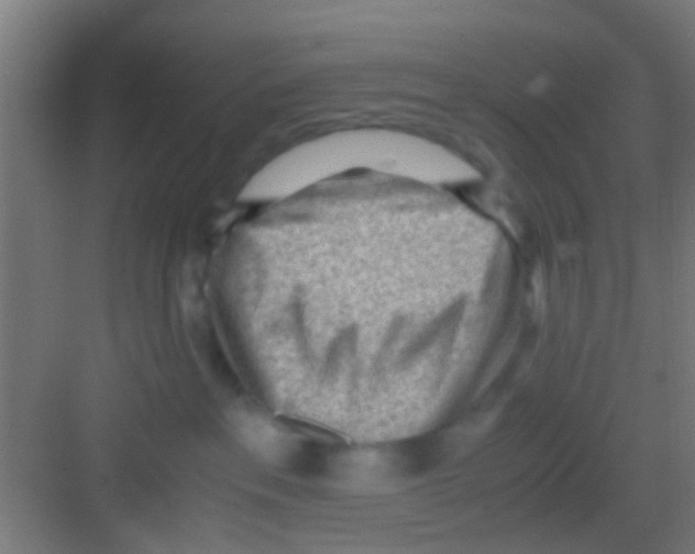 X0000081290237200702082027