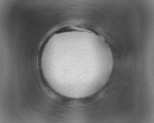 X0000081290244200702082026