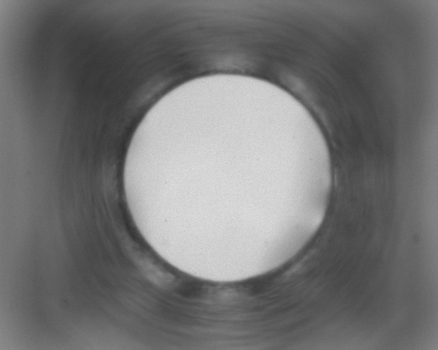 X0000081290249200702082026