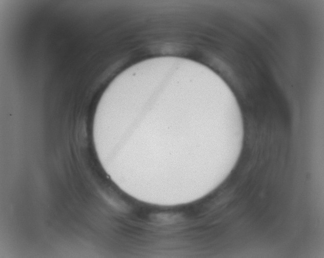 X0000081290251200702082026