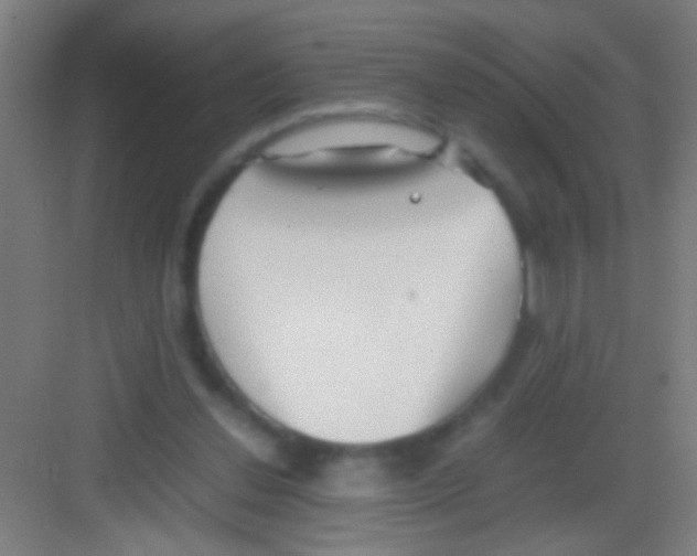 X0000081290252200702082026