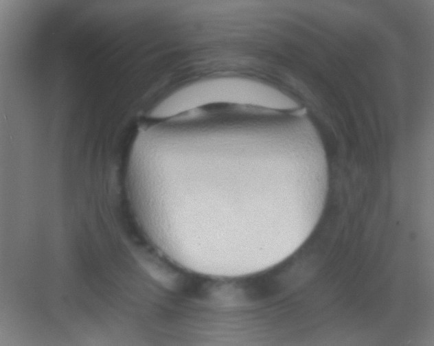 X0000081290258200702082026