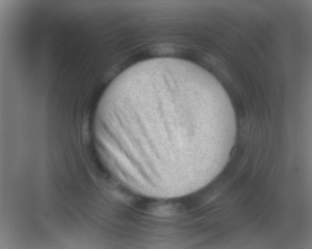 X0000081290267200702082026