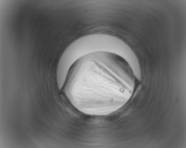 X0000081290284200702082026