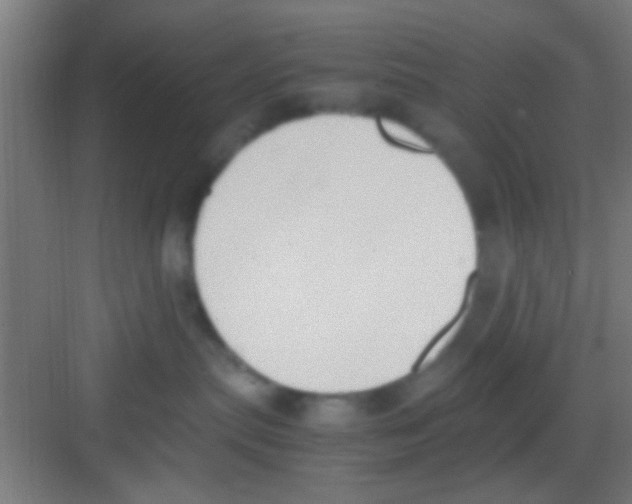 X0000081290287200702082026
