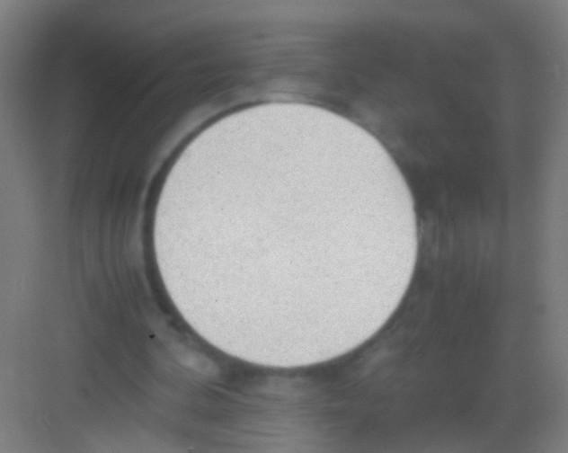 X0000081290292200702082026