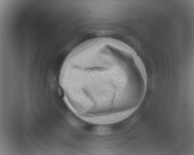 X0000081290327200702082025