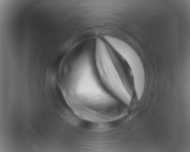 X0000081290329200702082025