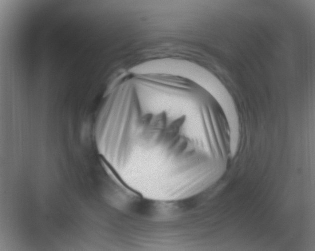 X0000081290333200702082025