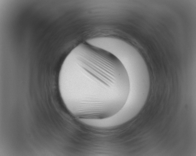 X0000081290362200702082024